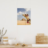 Poster Camel avec Pyramides Gizeh, Egypte (Cuisine)
