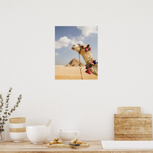 Poster Camel avec Pyramides Gizeh, Egypte (Cuisine)