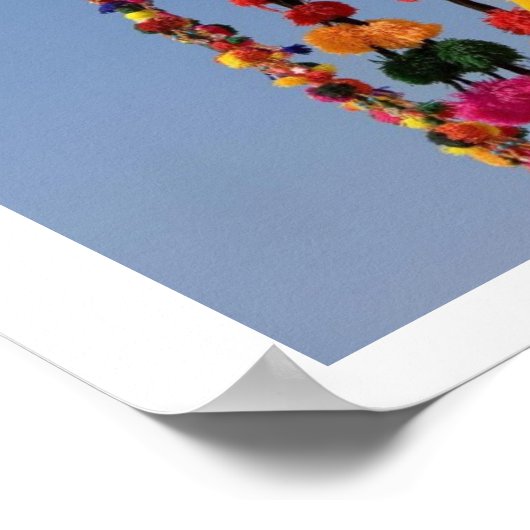 Poster Camel dans le désert (Coin)