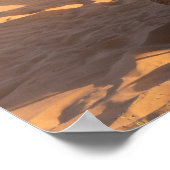 Poster Camel dans le désert d'Oman (Coin)