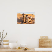 Poster Camel dans le désert d'Oman (Cuisine)