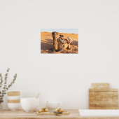 Poster Camel dans le désert d'Oman (Cuisine)