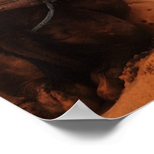 Poster Camel de l'arrière (Coin)