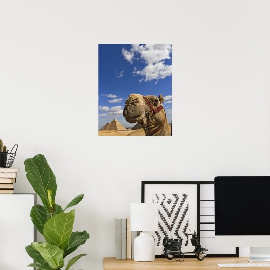 Poster Camel devant les pyramides de Gizeh, Egypte, (Bureau à domicile)