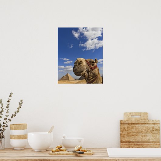 Poster Camel devant les pyramides de Gizeh, Egypte, (Cuisine)