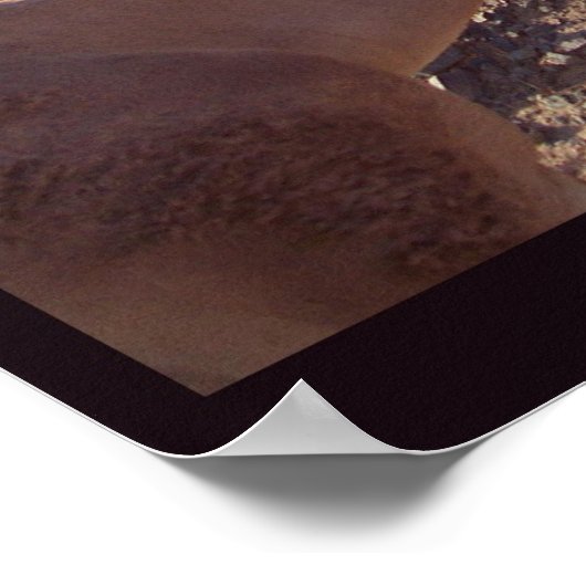 Poster Camel en Egypte (Coin)