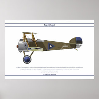 Poster Camel Estonie