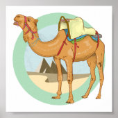 Poster Camel Giza Pyramids (Devant)