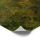 Poster Camelback Mountain, Scottsdale, Arizona (Coin)