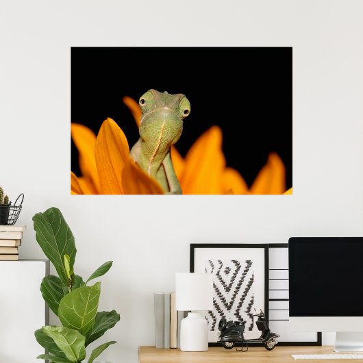 Poster caméléon (Bureau à domicile)