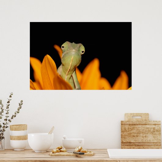 Poster caméléon (Cuisine)