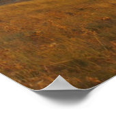 Poster Caméléon (Coin)