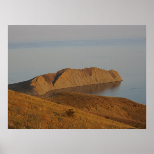 Poster Caméléon (Devant)
