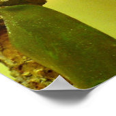 Poster caméléon (Coin)