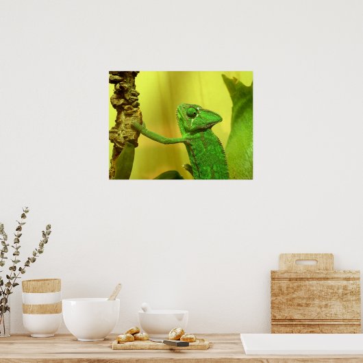 Poster caméléon (Cuisine)