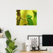 Poster caméléon (Bureau à domicile)