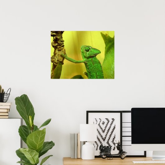 Poster caméléon (Bureau à domicile)