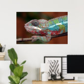 Poster caméléon (Bureau à domicile)