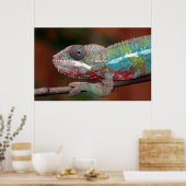 Poster caméléon (Cuisine)