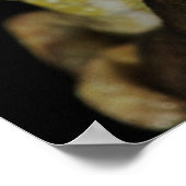 Poster Caméléon à bijoux ou caméléon de Campan (Coin)