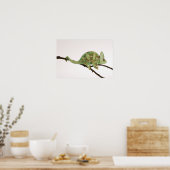 Poster Caméléon aux couleurs vives avec caractéristique 2 (Cuisine)