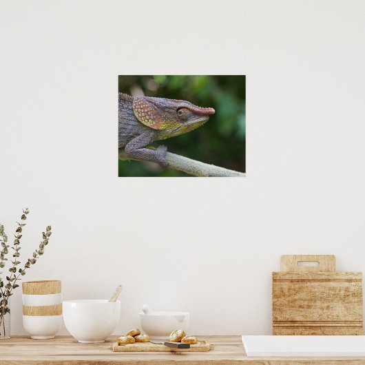Poster Caméléon éléphant, Madagascar (Cuisine)