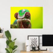 Poster Caméléon panthère, Madagascar (Bureau à domicile)