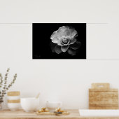 Poster camélia blanc BW (Cuisine)