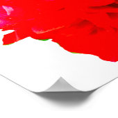 Poster Camelia Pop Red (Coin)