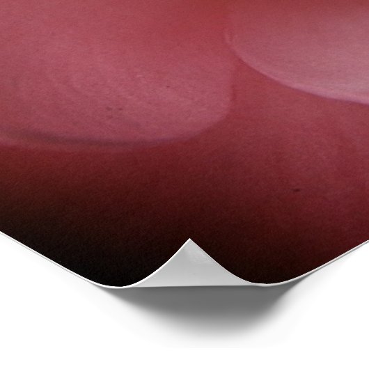 Poster Camelias 4 (Coin)