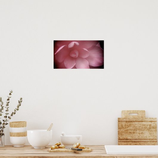 Poster Camelias 4 (Cuisine)