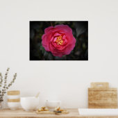 Poster Camellia, (Cuisine)