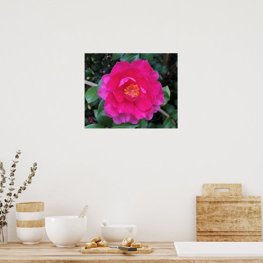 Poster Camellia, (Cuisine)