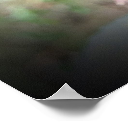 Poster Camellia, (Coin)