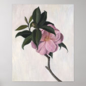 Poster Camellia 1998 (Devant)