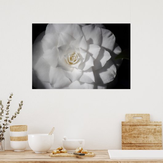Poster Camellia blanche (Cuisine)