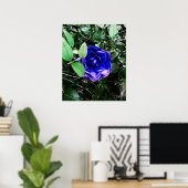 Poster Camellia bleue 401 (Bureau à domicile)