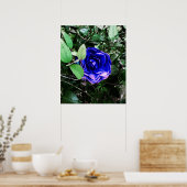 Poster Camellia bleue 401 (Cuisine)