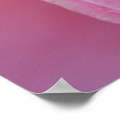 Poster Camellia rose (Coin)