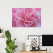 Poster Camellia rose (Bureau à domicile)