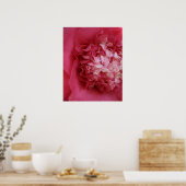 Poster Camellia rose chaud (Cuisine)
