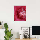 Poster Camellia rose chaud (Bureau à domicile)