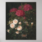 Poster Camellias Et Rhododendrons (Devant)