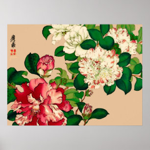 Poster Camellias japonais vintage. Rose profond sur le be