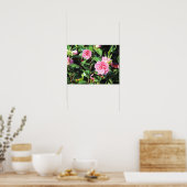 Poster Camellias rose Peinture numérique Mur Art (Cuisine)