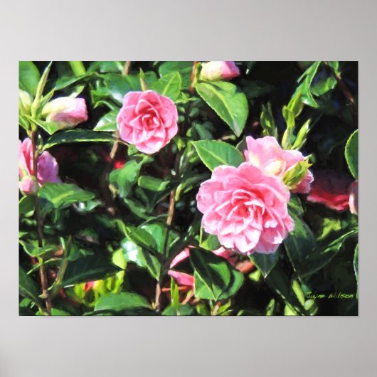 Poster Camellias rose Peinture numérique Mur Art (Devant)