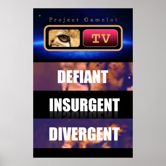 POSTER CAMELOT DU PROJET (Devant)
