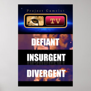 POSTER CAMELOTE DU PROJET