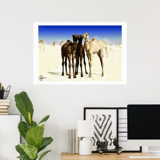 Poster Camels (Bureau à domicile)