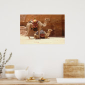Poster Camels à Petra (Cuisine)